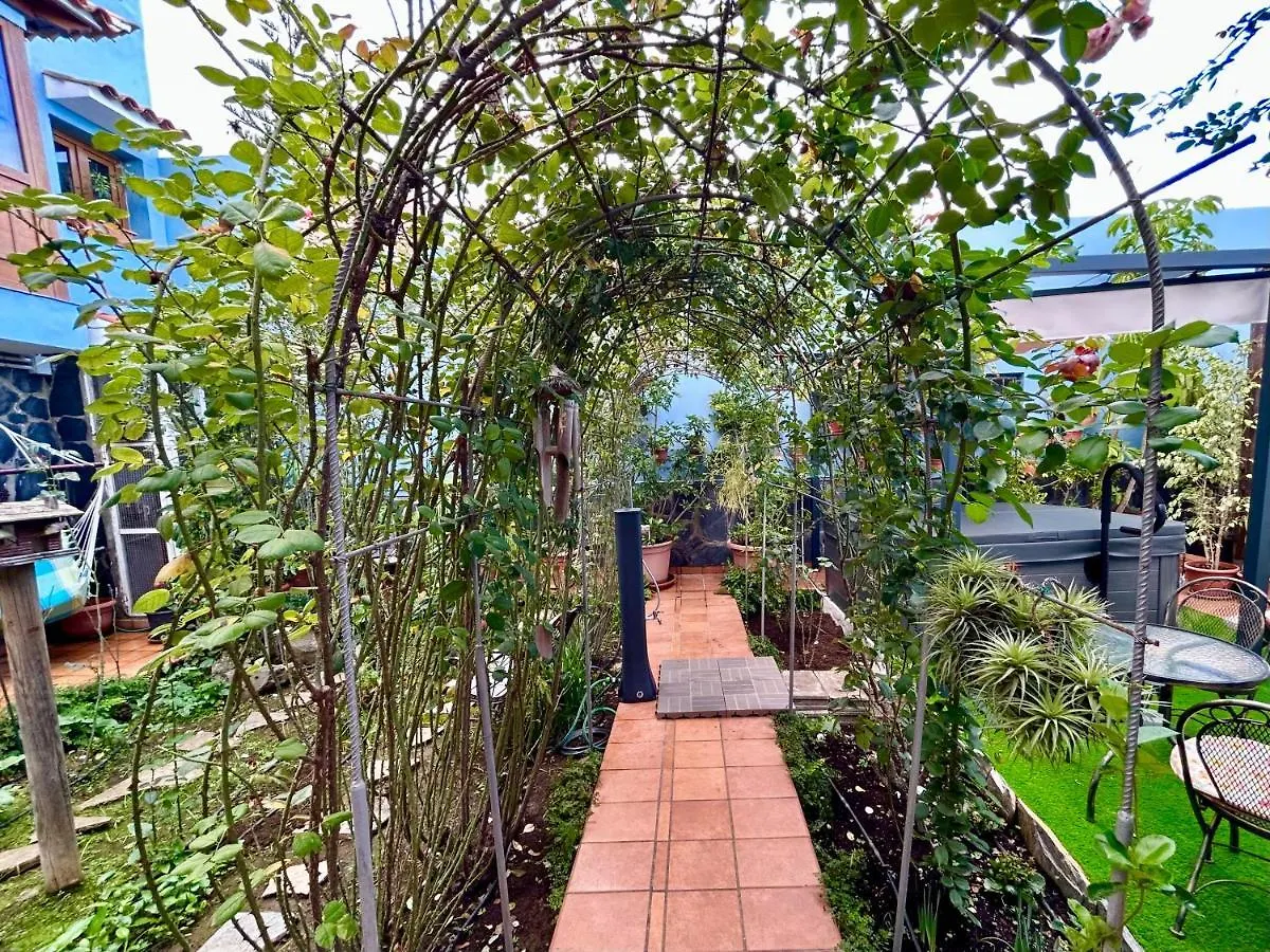 Holiday home Casa Con Jardin Y Jacuzzi Villa Realejo Alto